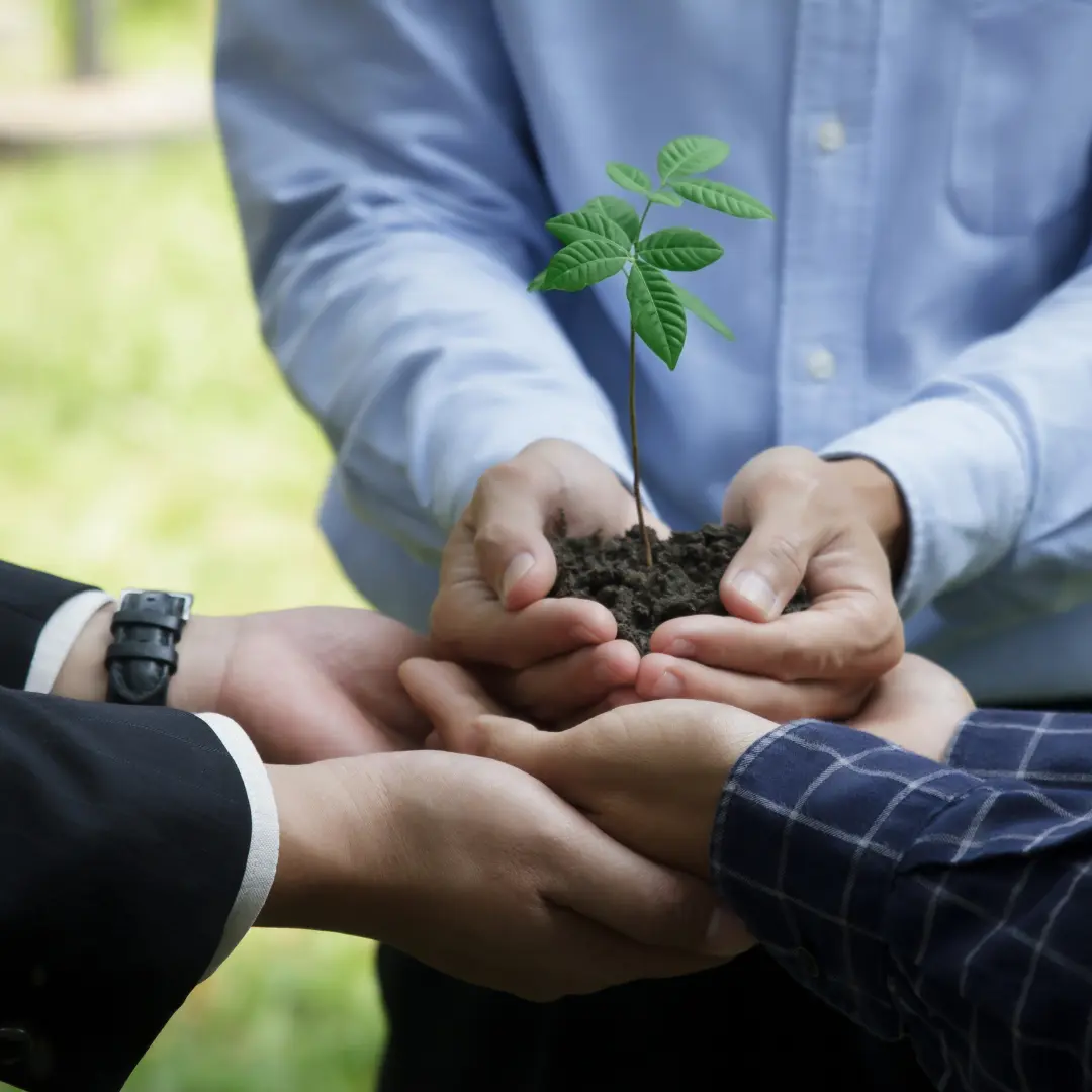 supplier risk management software