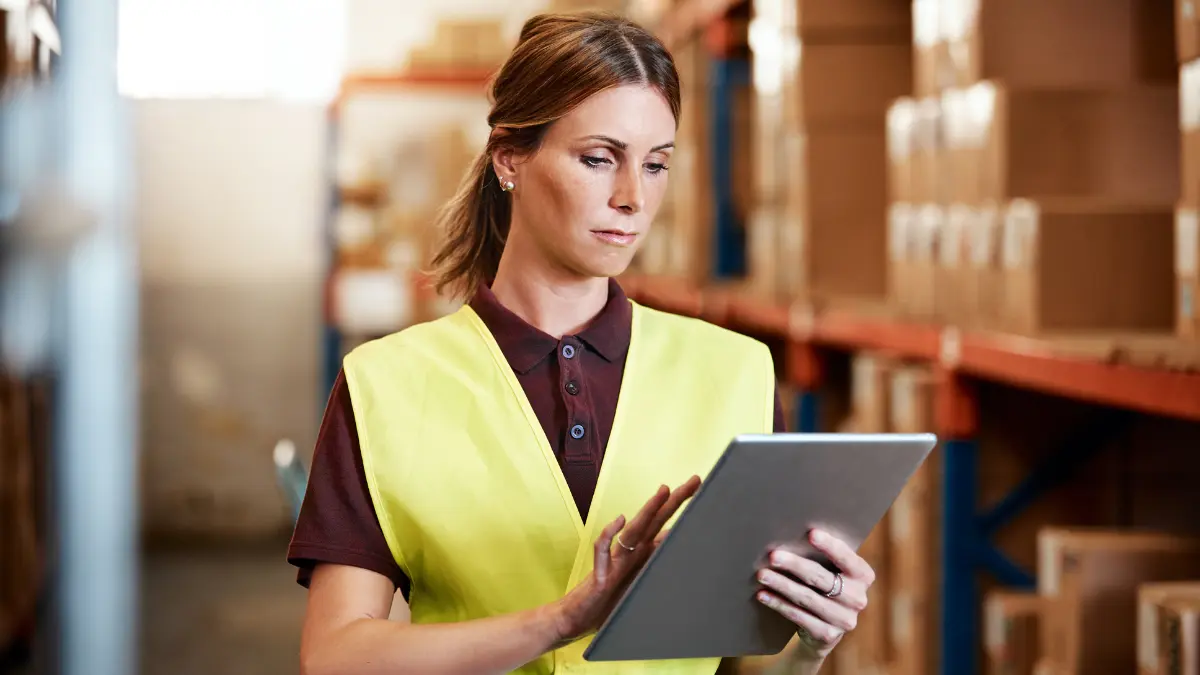 supply chain shoftware solutions
