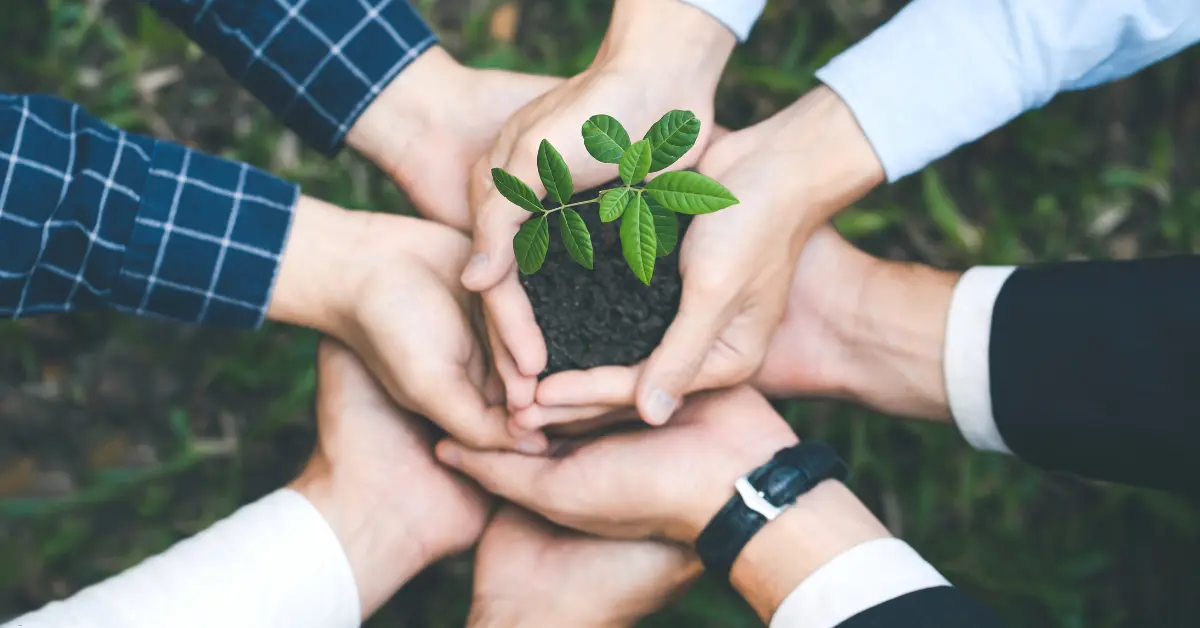 Best ESG reporting software represented by a group nurturing a growing plant, showcasing collaboration for sustainability