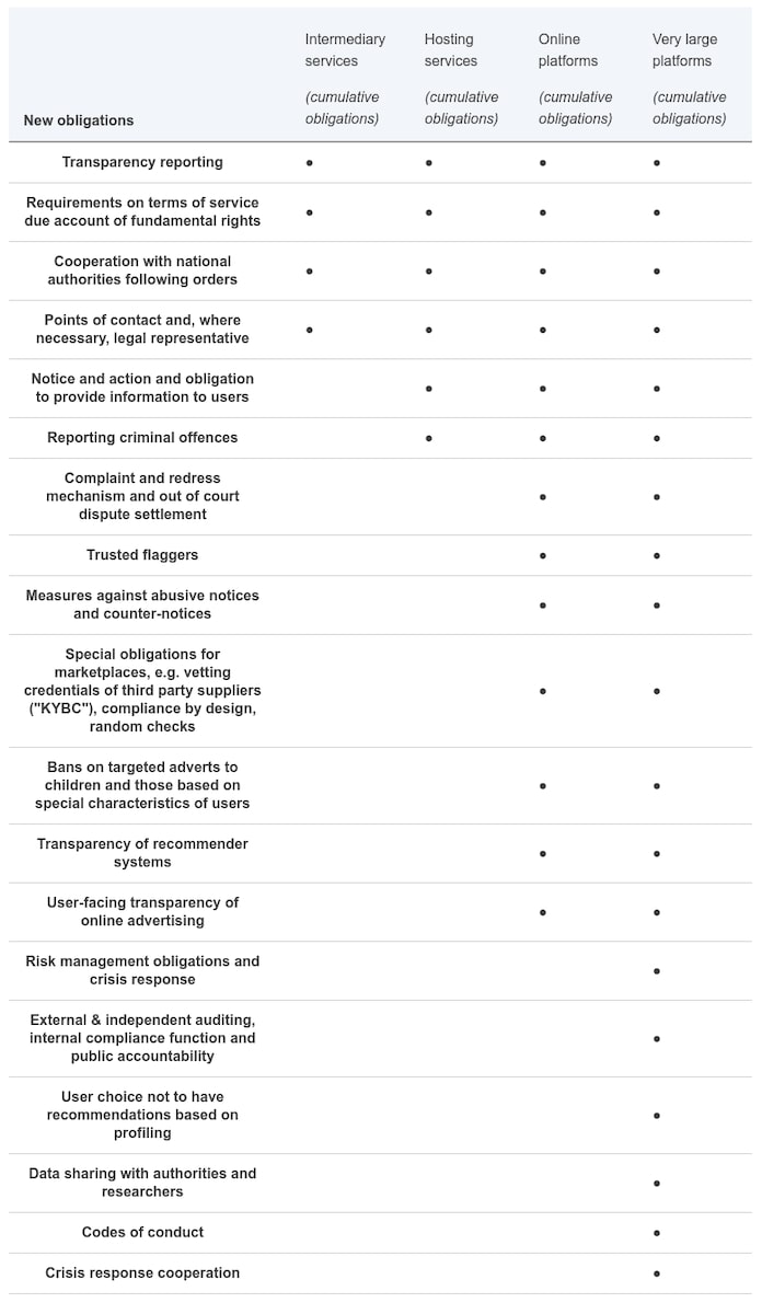 Obligations under the DSA