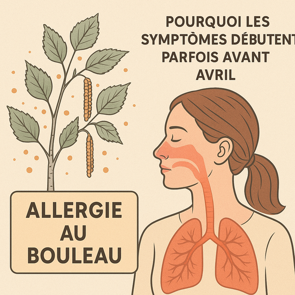 Allergie au bouleau : pourquoi les symptômes débutent parfois avant avril