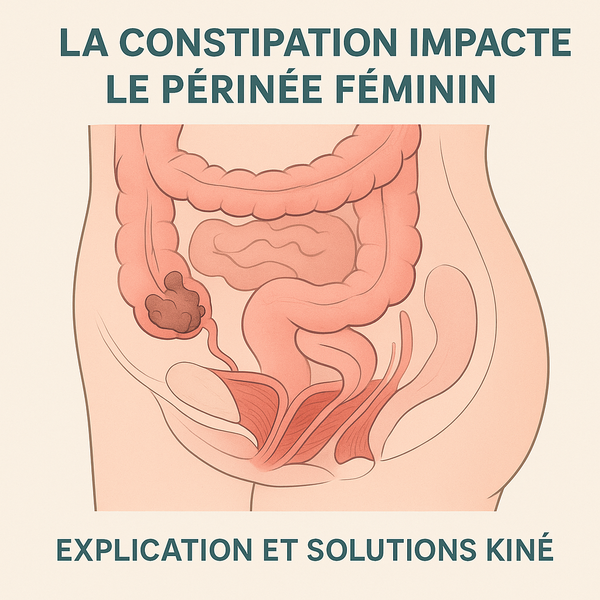 Pourquoi la constipation peut fatiguer le périnée
