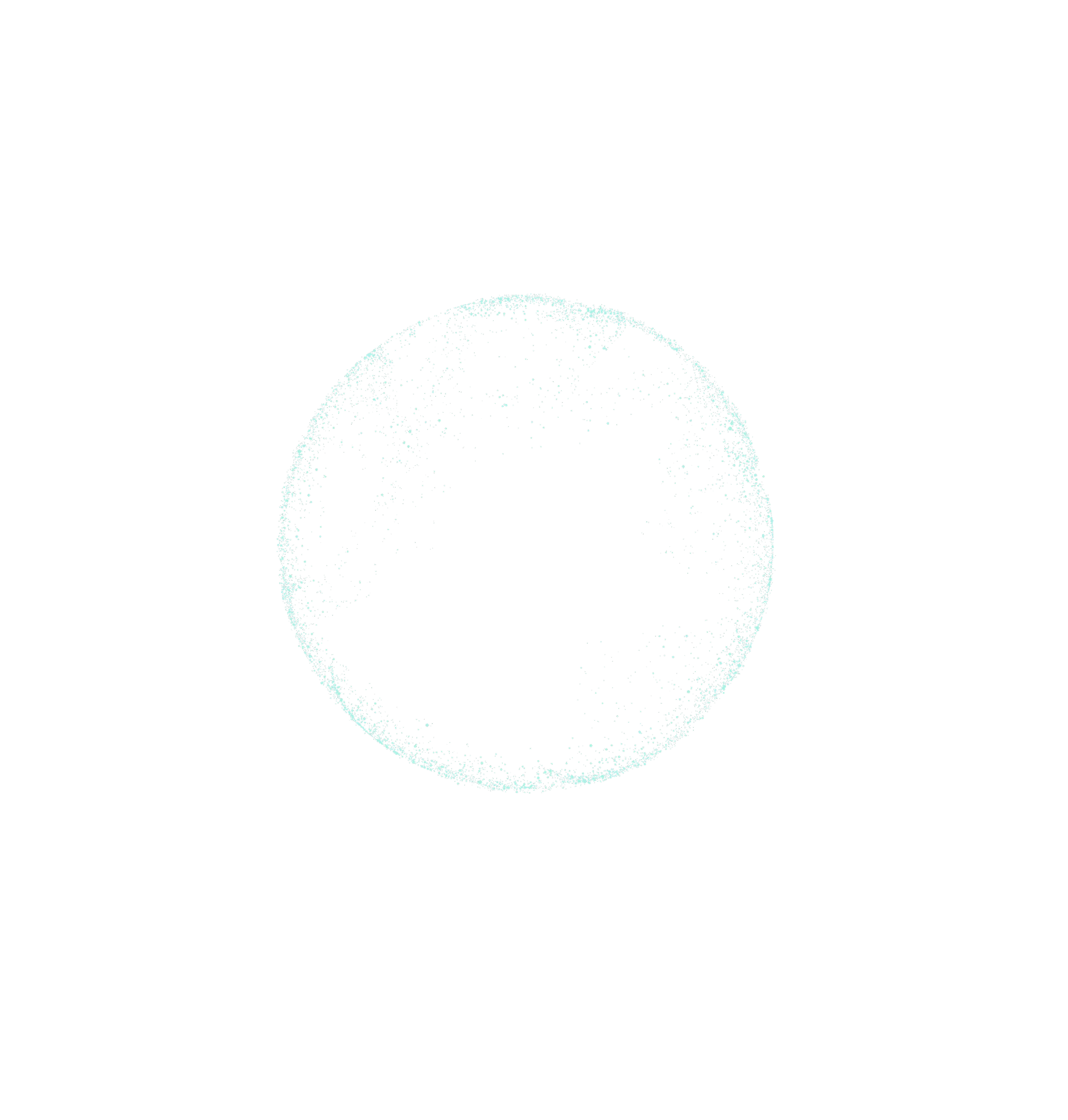 A black and white photo of a circular object.