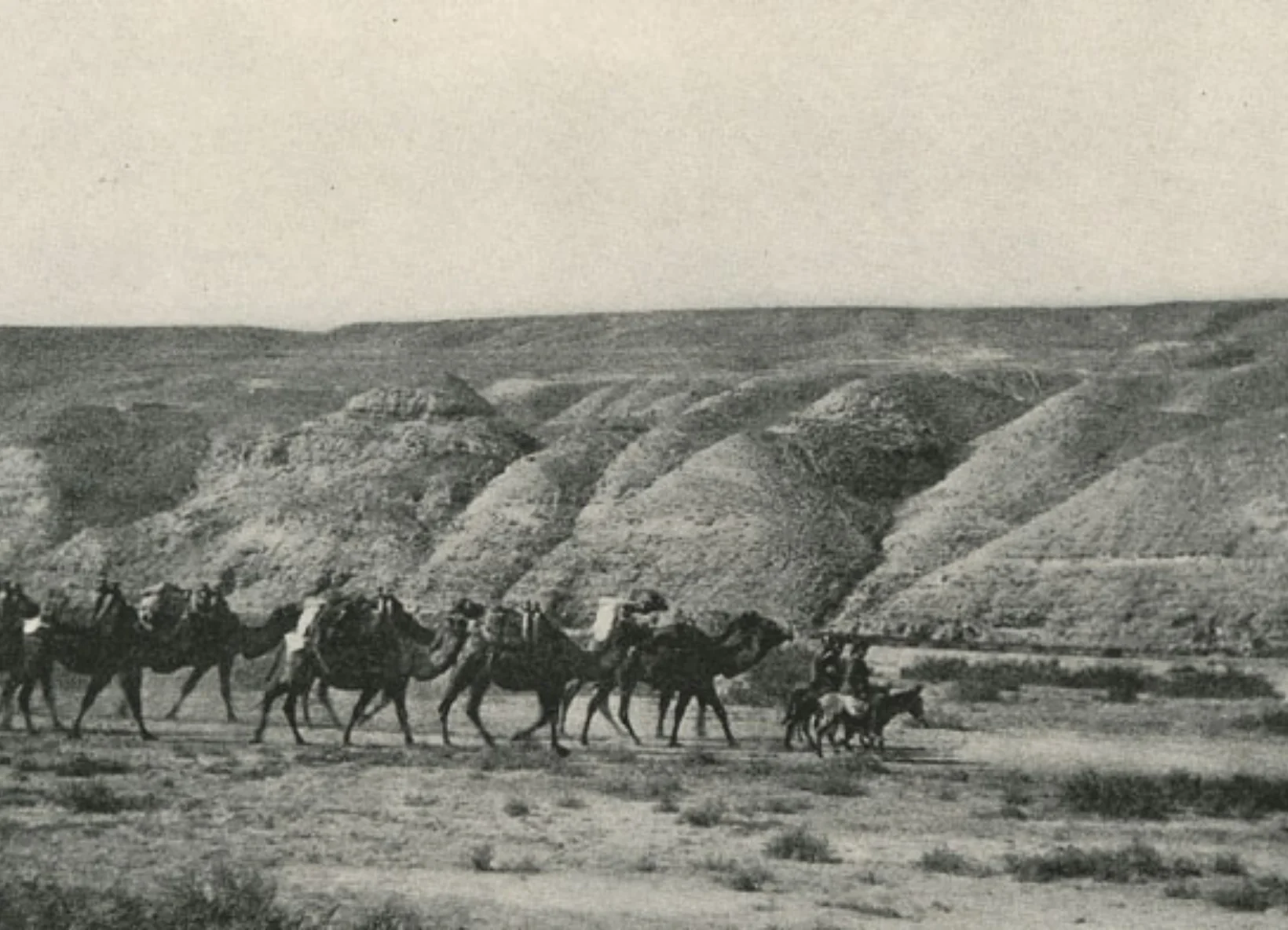 Historic caravan crossing the rugged landscape of ancient Lycia. Discover how early trade routes shaped the cultural and geographic foundations of today’s Lycian Way.