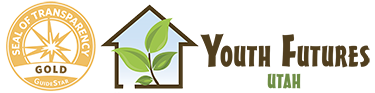 Framed house 