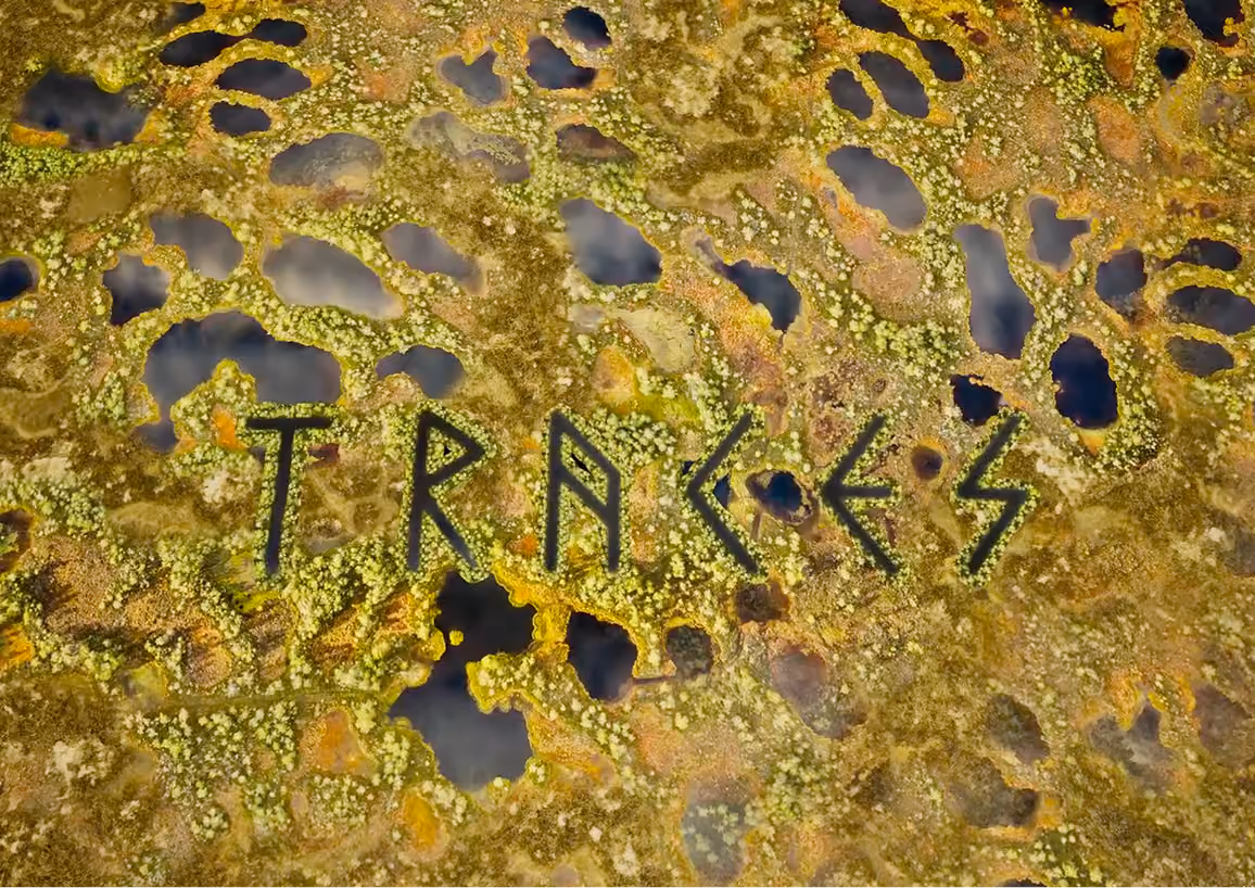 titelscène van de VR-ervaring Traces, met het woord Traces boven een bolvormig veenlandschap van mos en water
