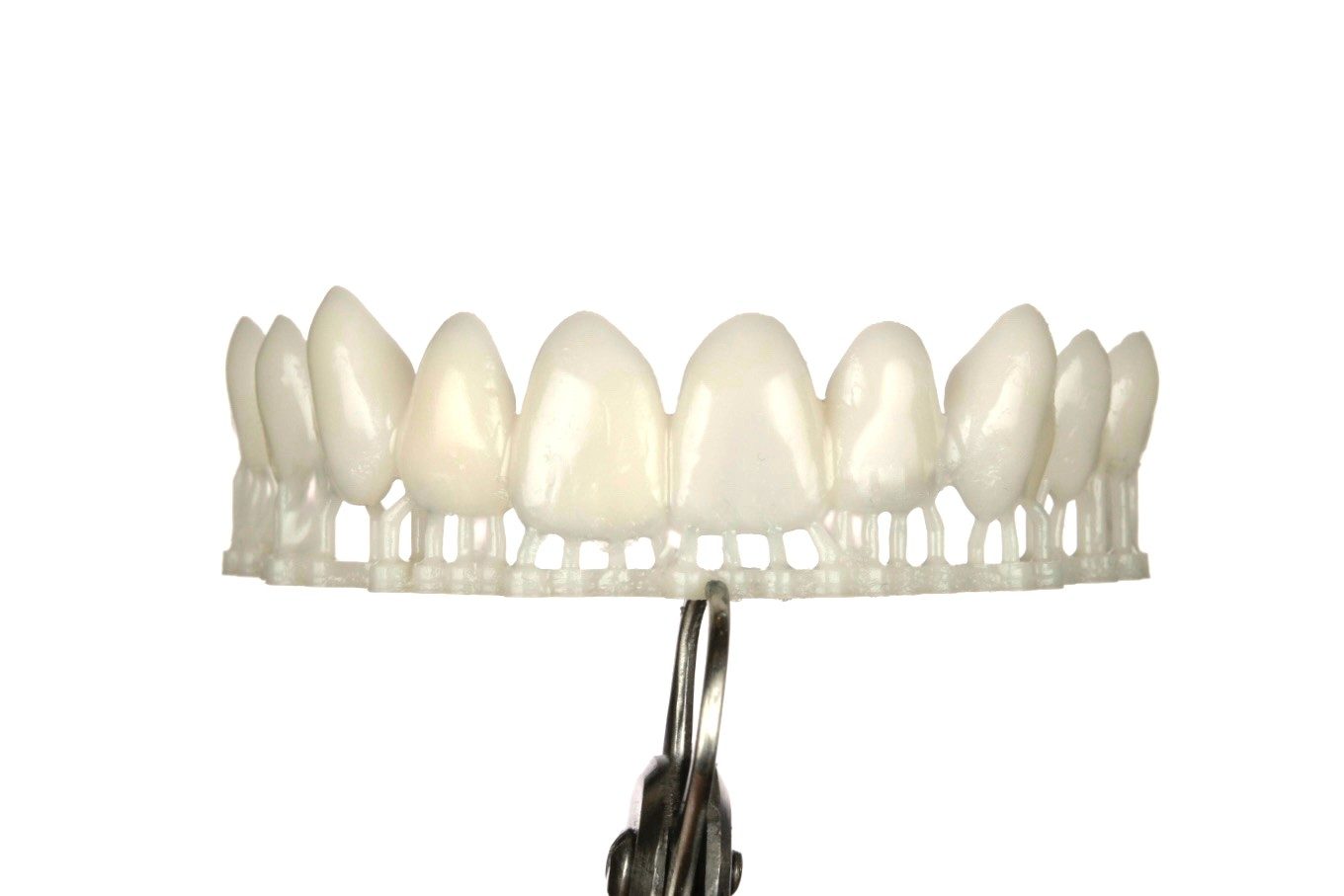 Printed Trial Smile detail 1