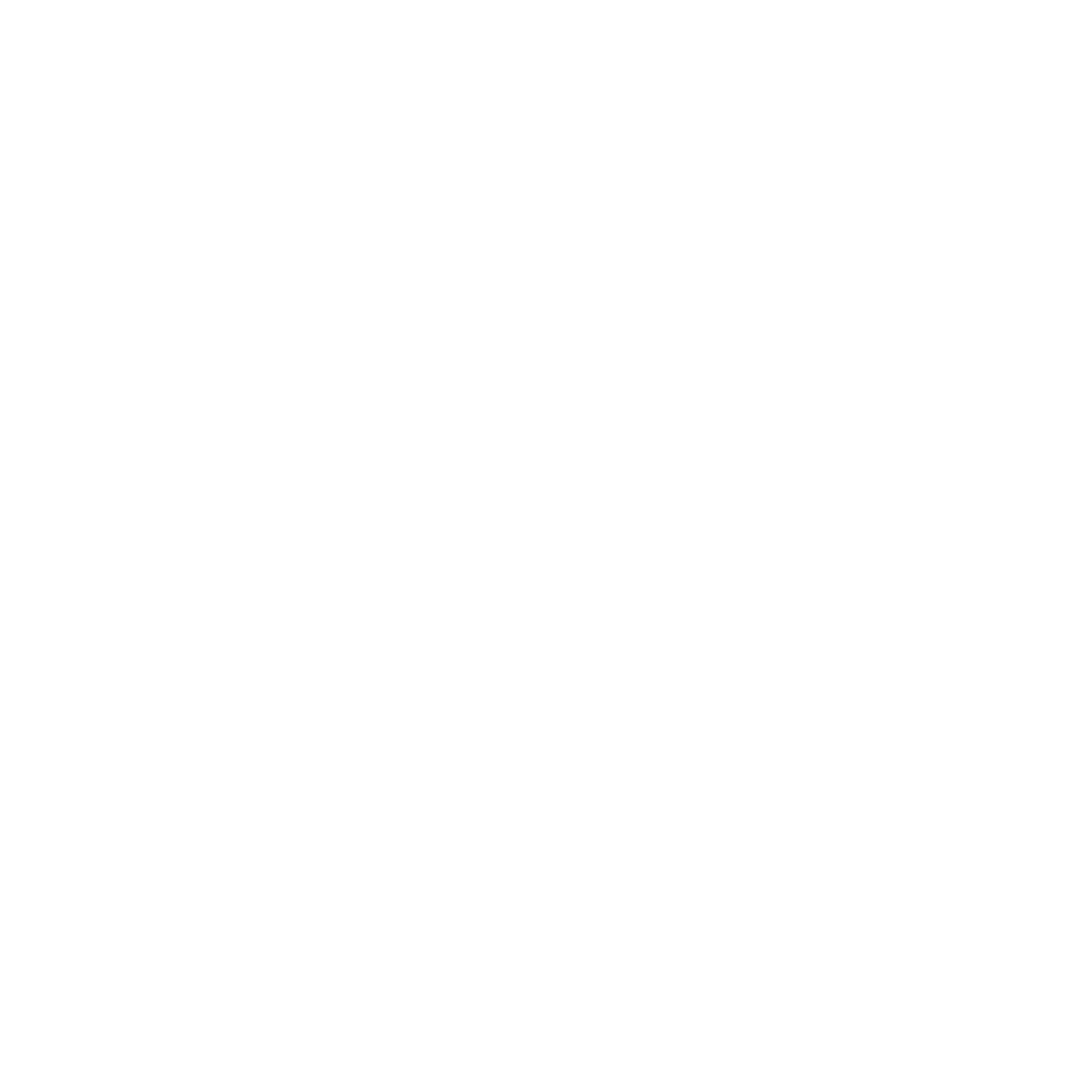 Tiktok icon