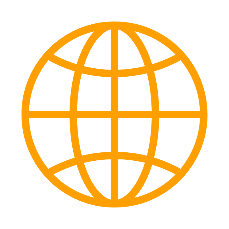 Orange globe icon with latitude and longitude lines on black background.