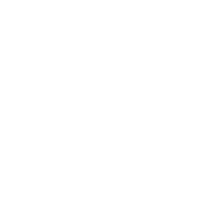 Letter icon