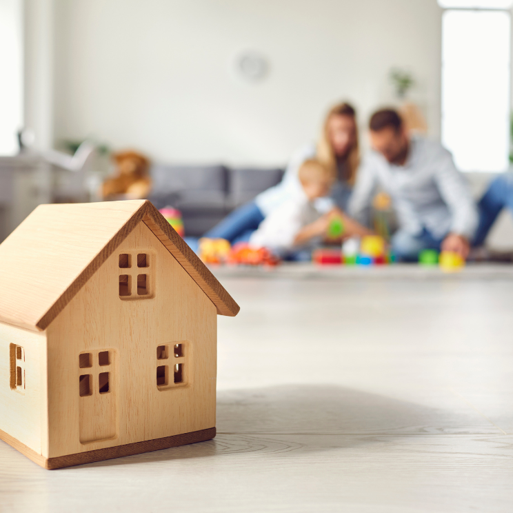 house pest free
