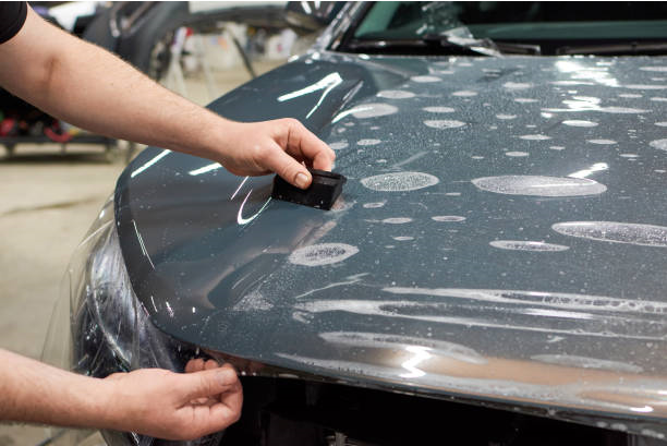 Vehicle Paint Protection