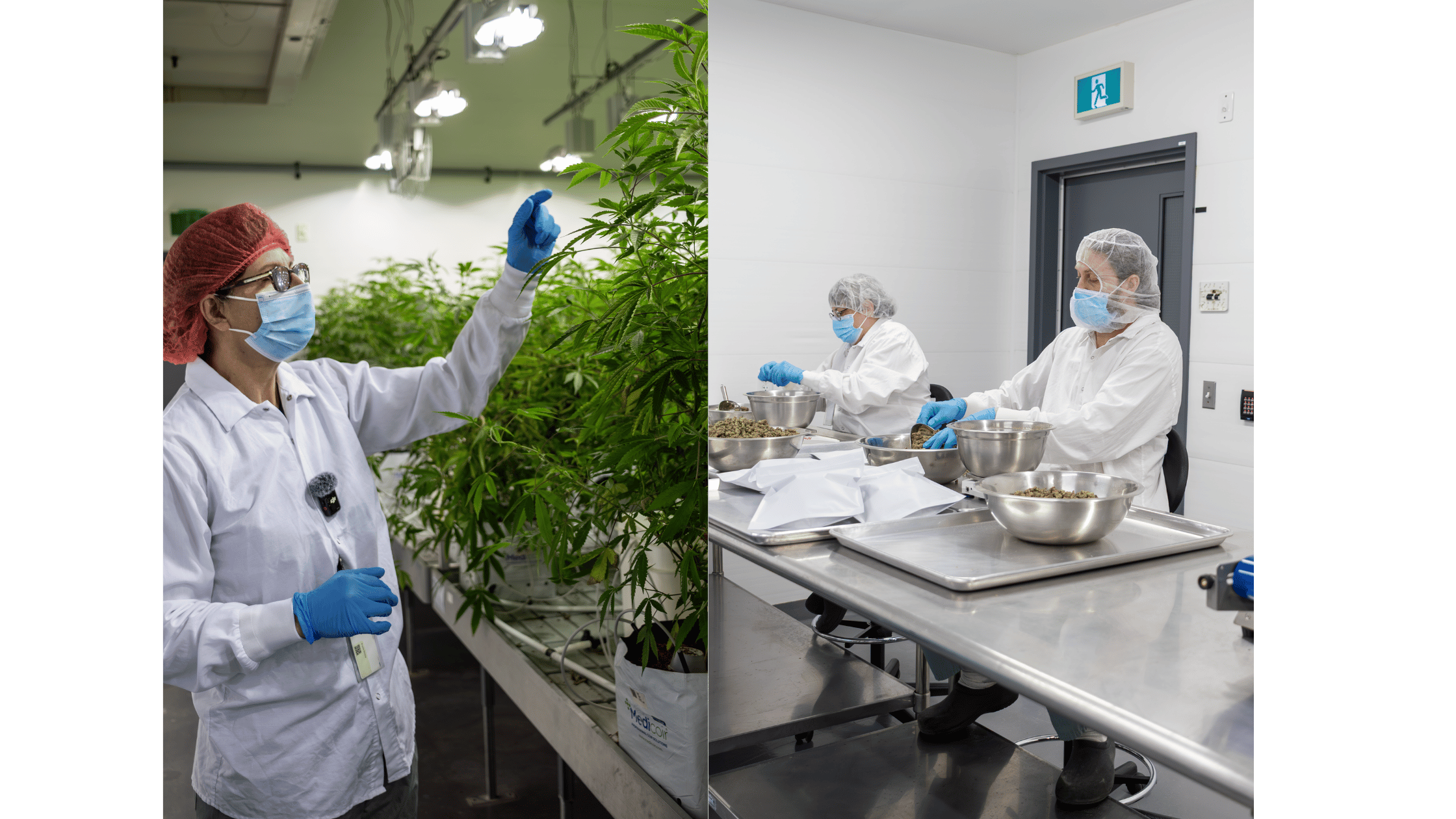 Safari Flower Operations