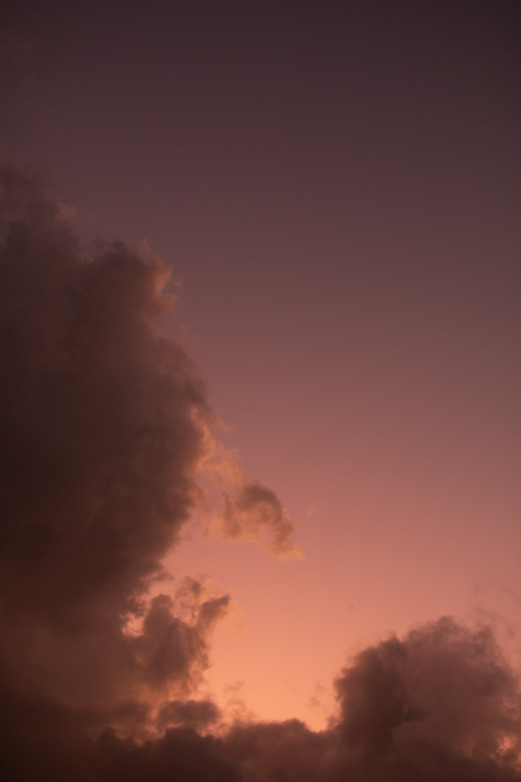 Soft pastel sunset sky with warm pink and purple tones over the coast of southern Sri Lanka.