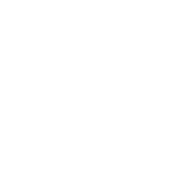Divider Image