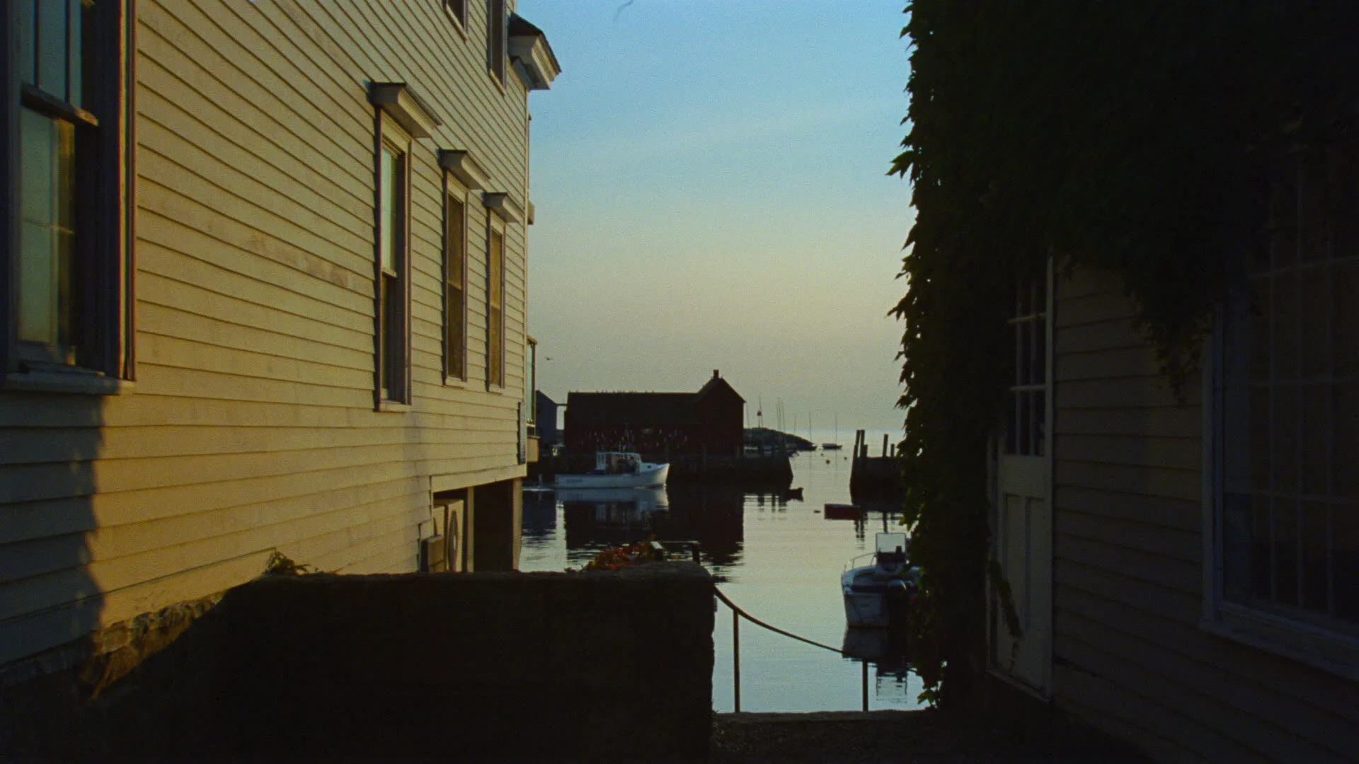 Amica - 'Green To The Core'