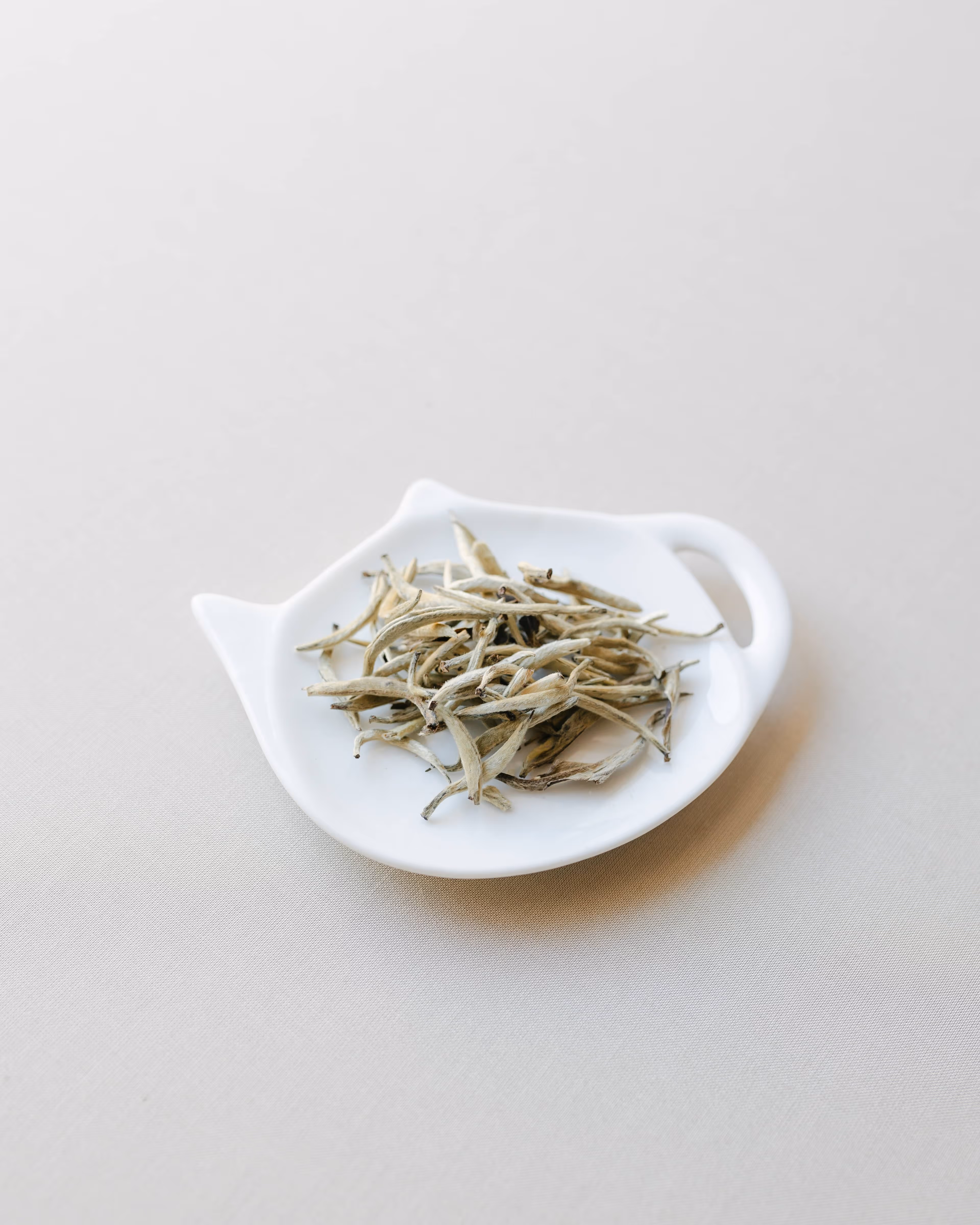 Gemme e foglie di tè in un piattino di ceramica bianca a forma di teiera.