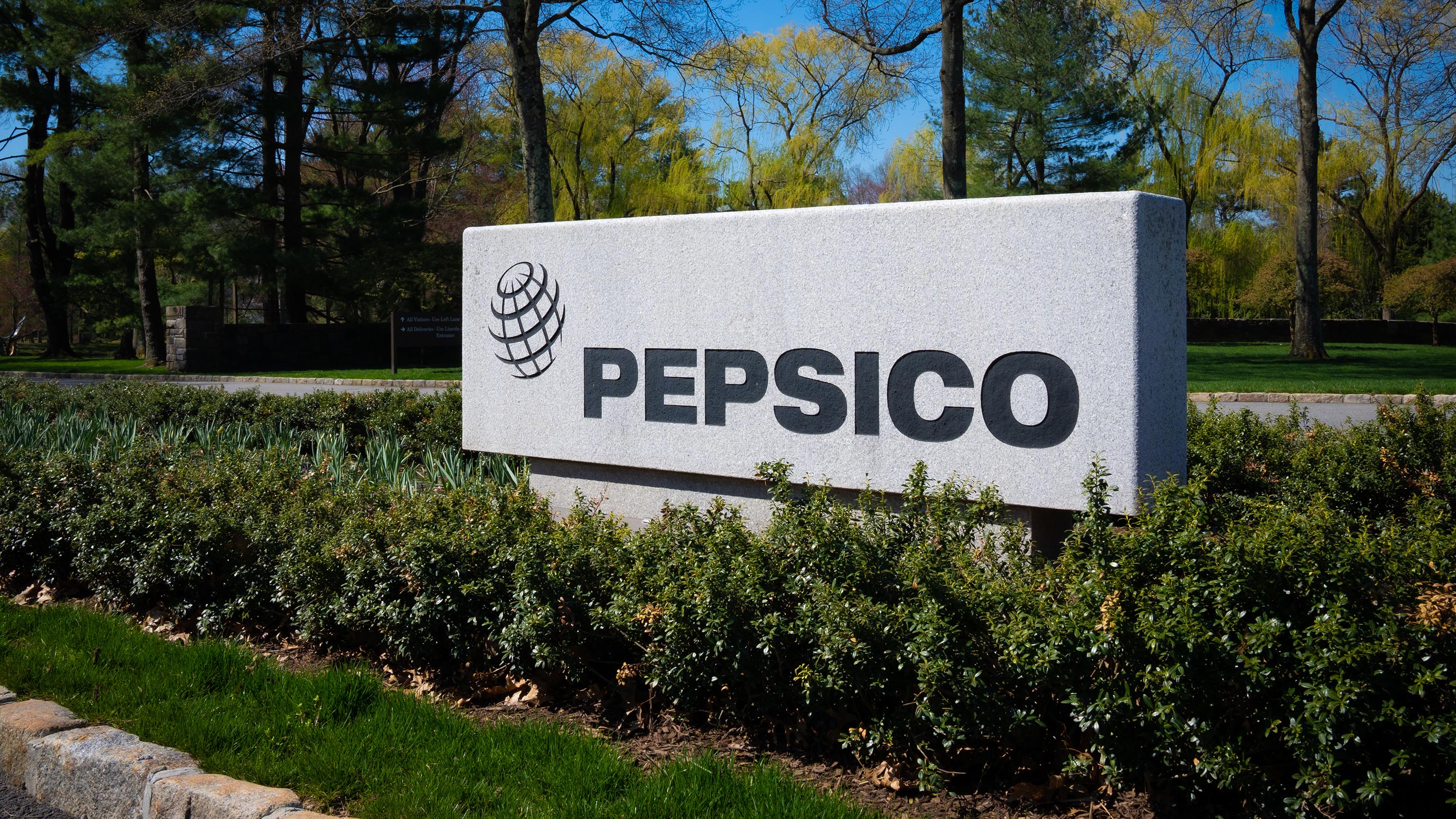 PepsiCo India