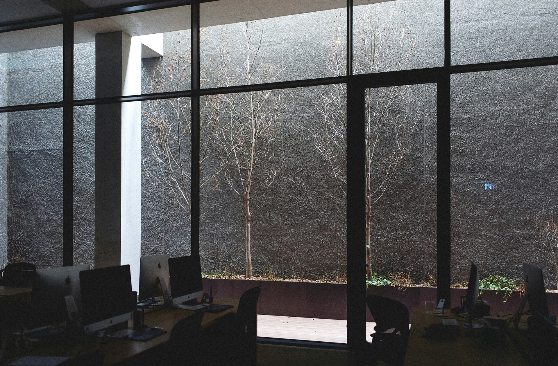 Window film for Dubai homes