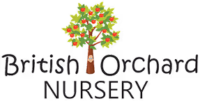 Logo for British Orchard Nursery featuring a stylized tree with red fruit between the words British and Orchard above the word NURSERY.