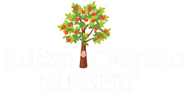 Logo for British Orchard Nursery featuring a tree with red apples between the words 'British' and 'Orchard'.
