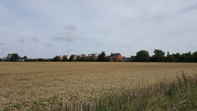 Houses on the edge of a settlement