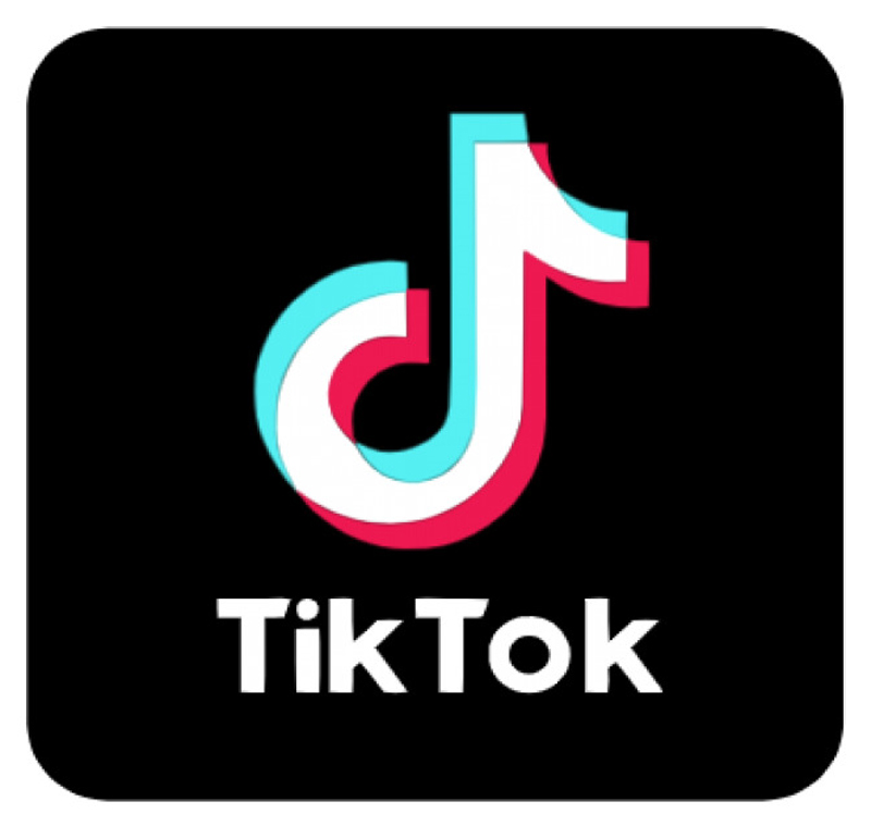 T&H Việt Nam tiktok icon