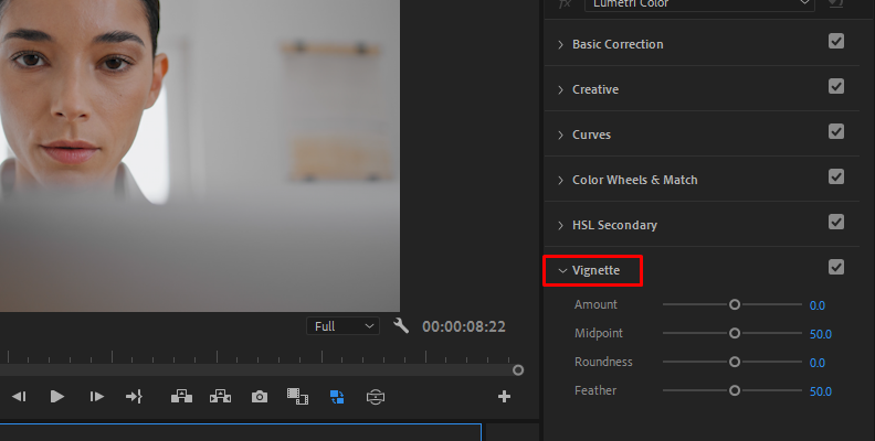Add Vignette in Premiere Pro: Step-by-Step | Boris FX