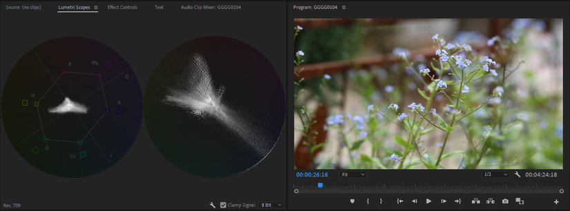 How to Read Lumetri Scopes in Adobe Premiere Pro
