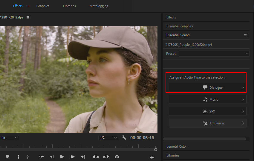 3 Methods to Remove Background Noise in Premiere Pro
