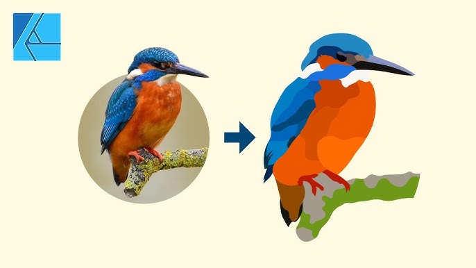 Trace An Image To Vector (Manually) with Affinity Designer - YouTube