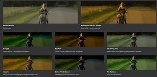 20+ Best Film LUTs (Film Look for DaVinci, Premiere Pro & More) | Design Shack