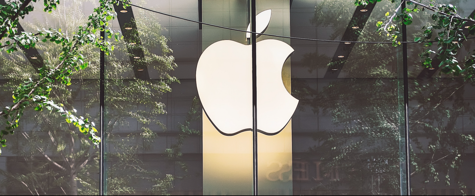 Is Apple a Luxury Brand? Well, That Depends on Your Definition of Luxury - The Fashion Law