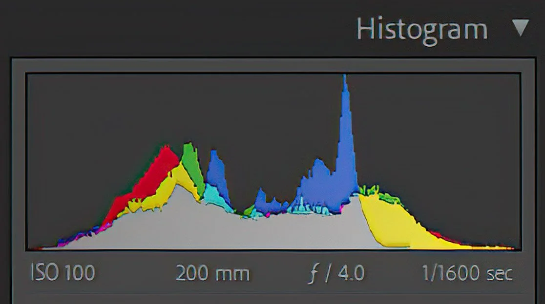 Photography Histogram: Understanding & Utilizing this Tool