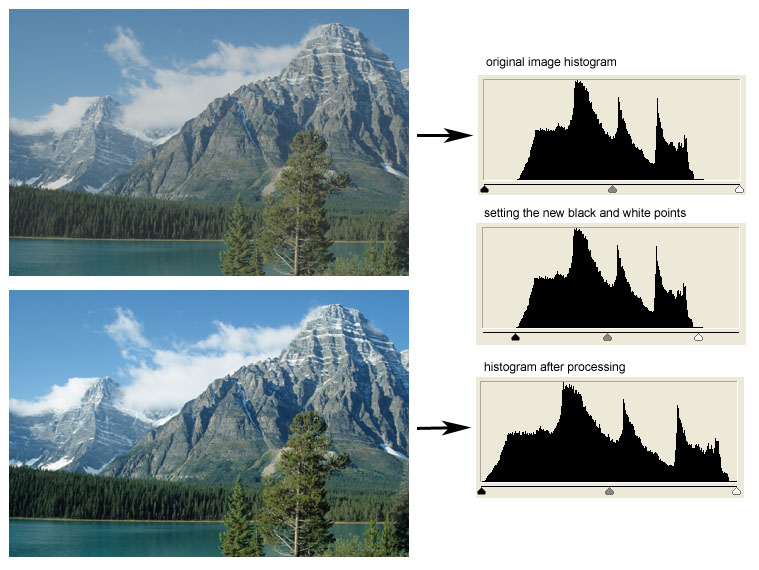Histogram
