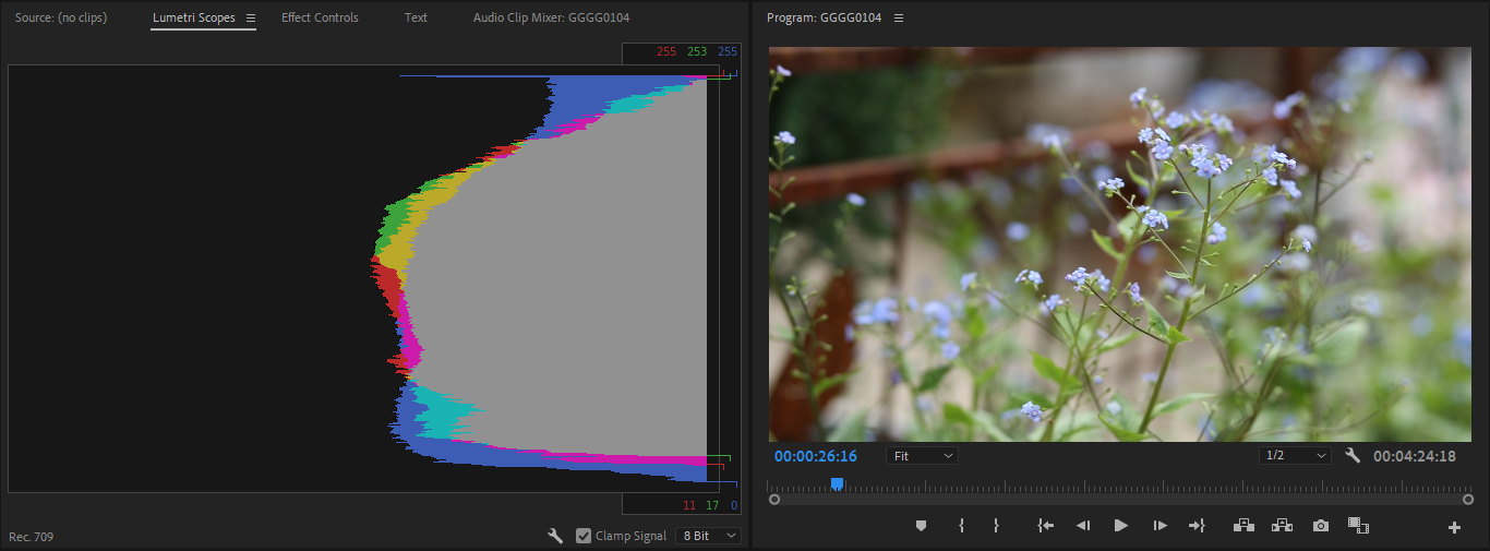 How to Read Lumetri Scopes in Adobe Premiere Pro