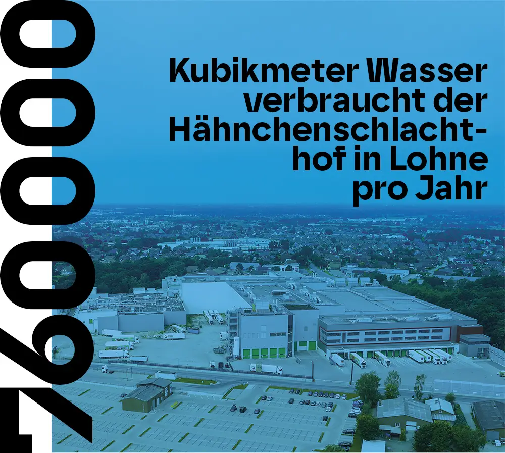 760000 Kubikmeter Wasser verbraucht der Hähnchenschlachthof in Lohne pro Jahr