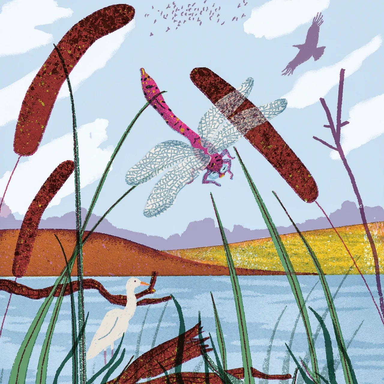 Illustration einer rosa Libelle über ein Teichufer mit Rohrkolben und einem weißen Reiher