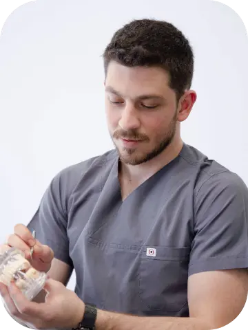 Healthcare professional demonstrating a dental model, focused on personalized patient care