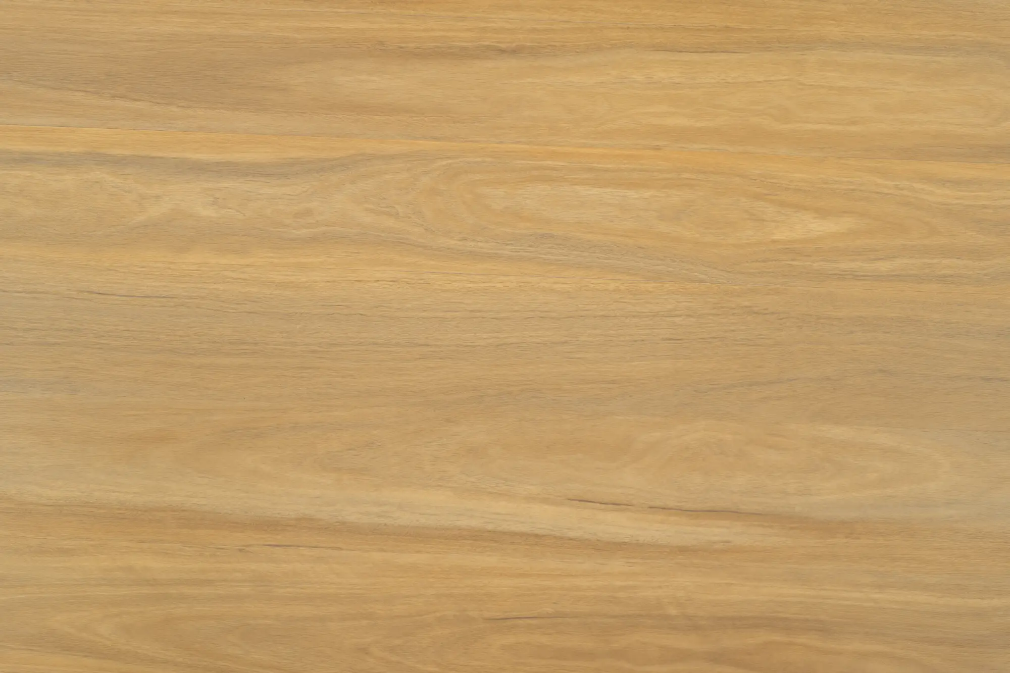 Hybrid flooring in Weathered Spottedgum C2184 model featuring rustic spottedgum tones with a textured, natural finish.