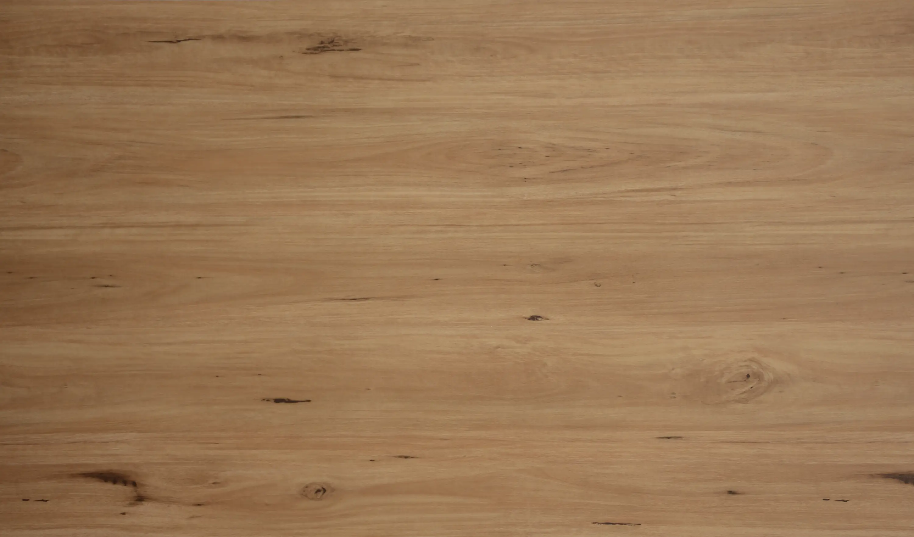 Hybrid flooring in Coastal Blackbutt C2181 model showcasing rich blackbutt tones with a smooth, contemporary finish.