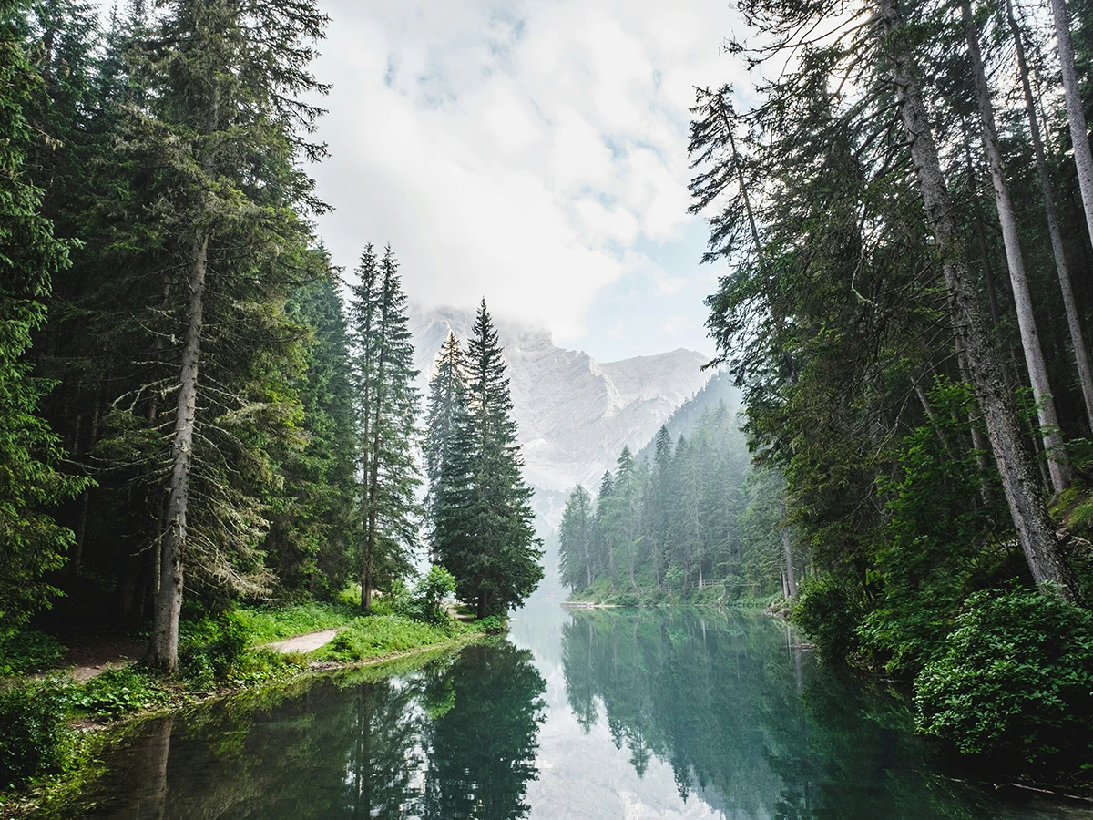 5 hidden gems to discover at Sunny Lake