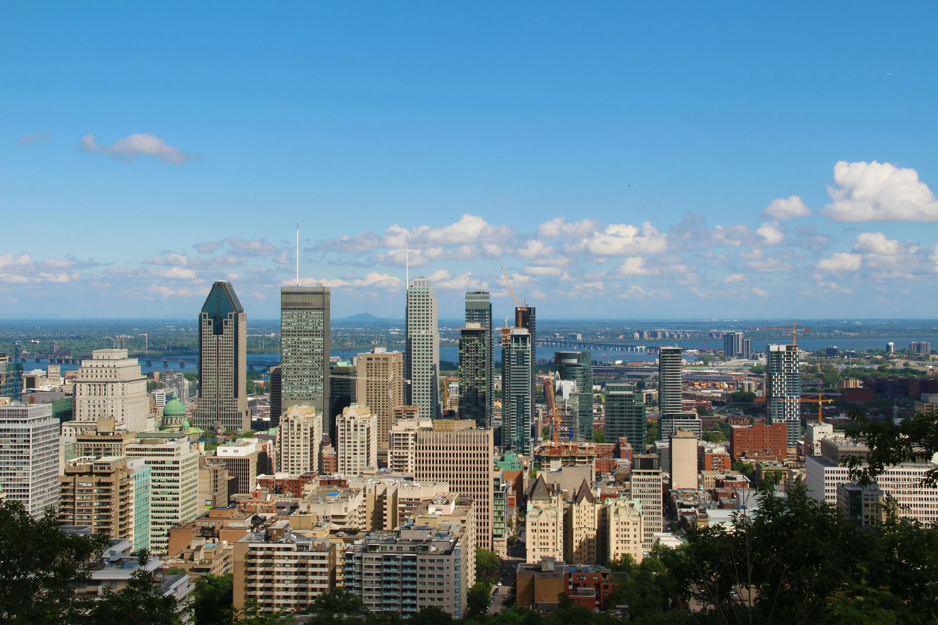 Skyline view of downtown Montreal taken from Mount Royal, showing high-rise buildings under a clear blue sky.