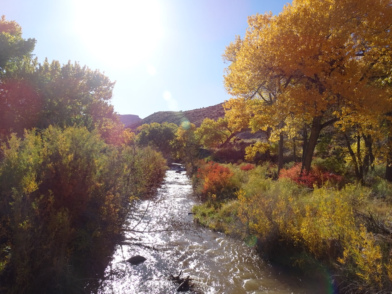 Fall season in Capitol Reef National Park