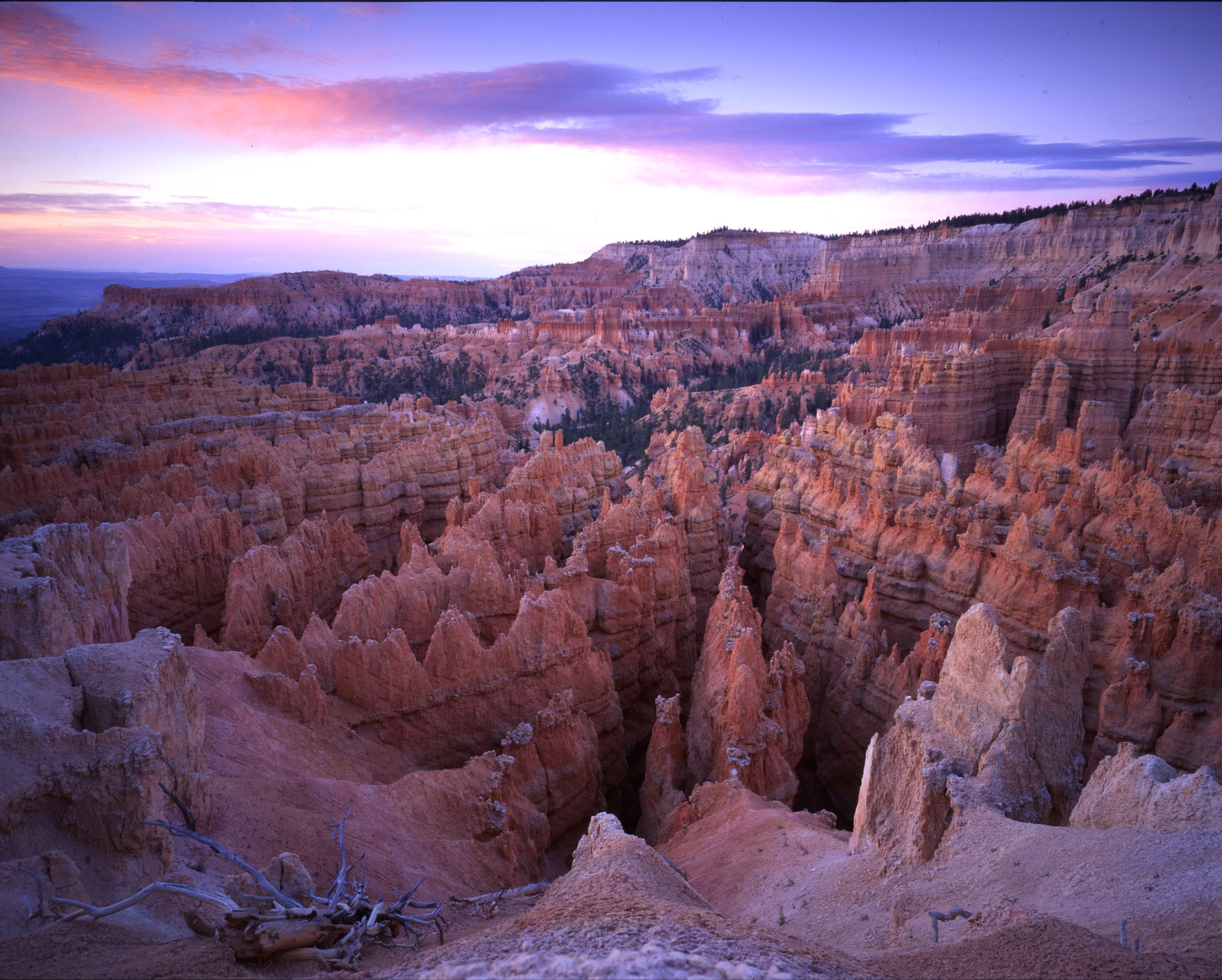Wall Street overlook at Bryce Canyon National Park