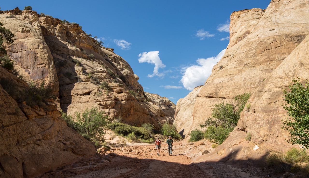 Capitol Gorge trail in Capitol Reef National Park