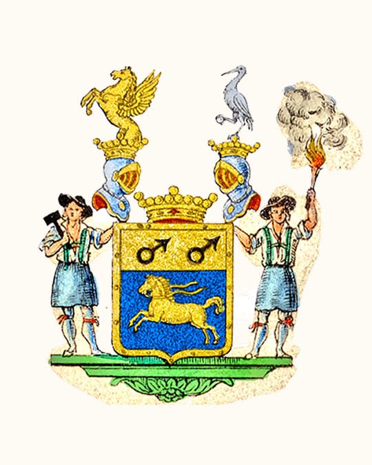 Släkten Tamms vapensköld