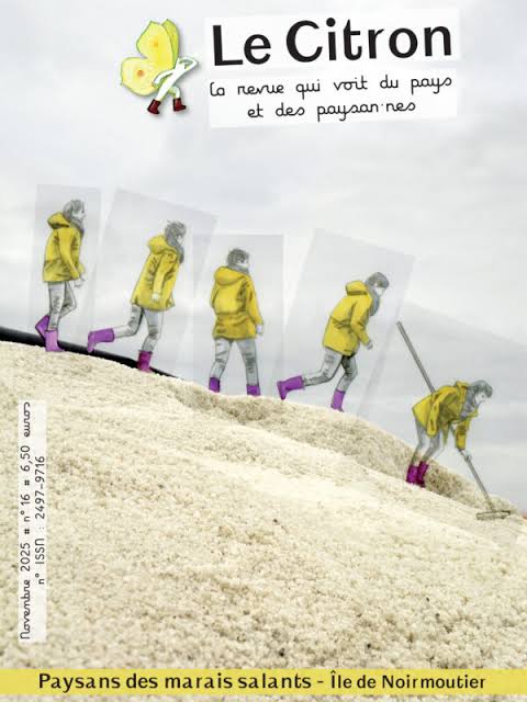 Revue Le Citron