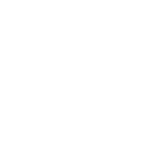 Repair  - white icon