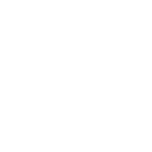 Checklist - white icon